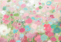 Image Not Available
